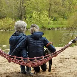 what is vascular dementia