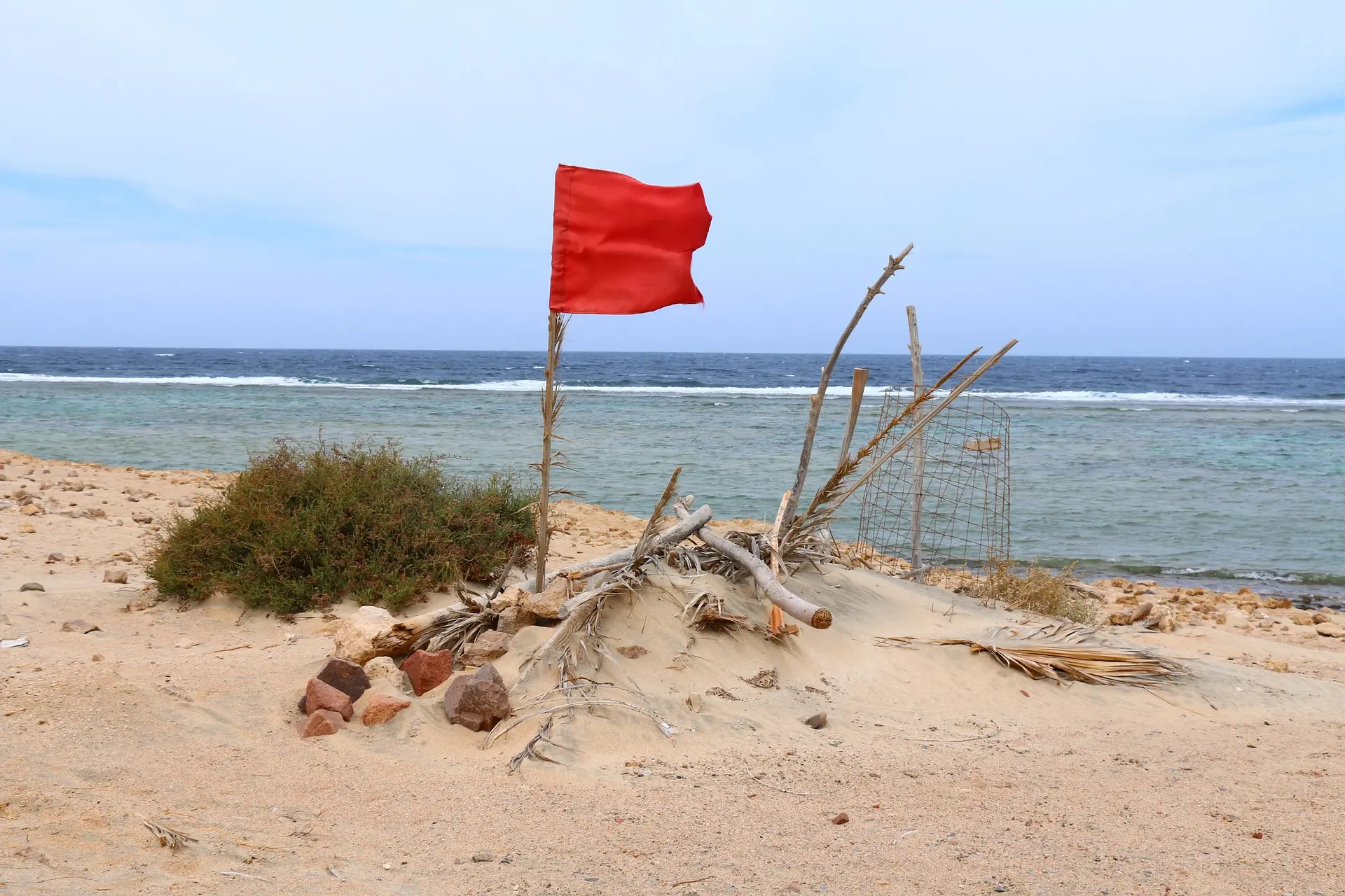 Red Flags for Families