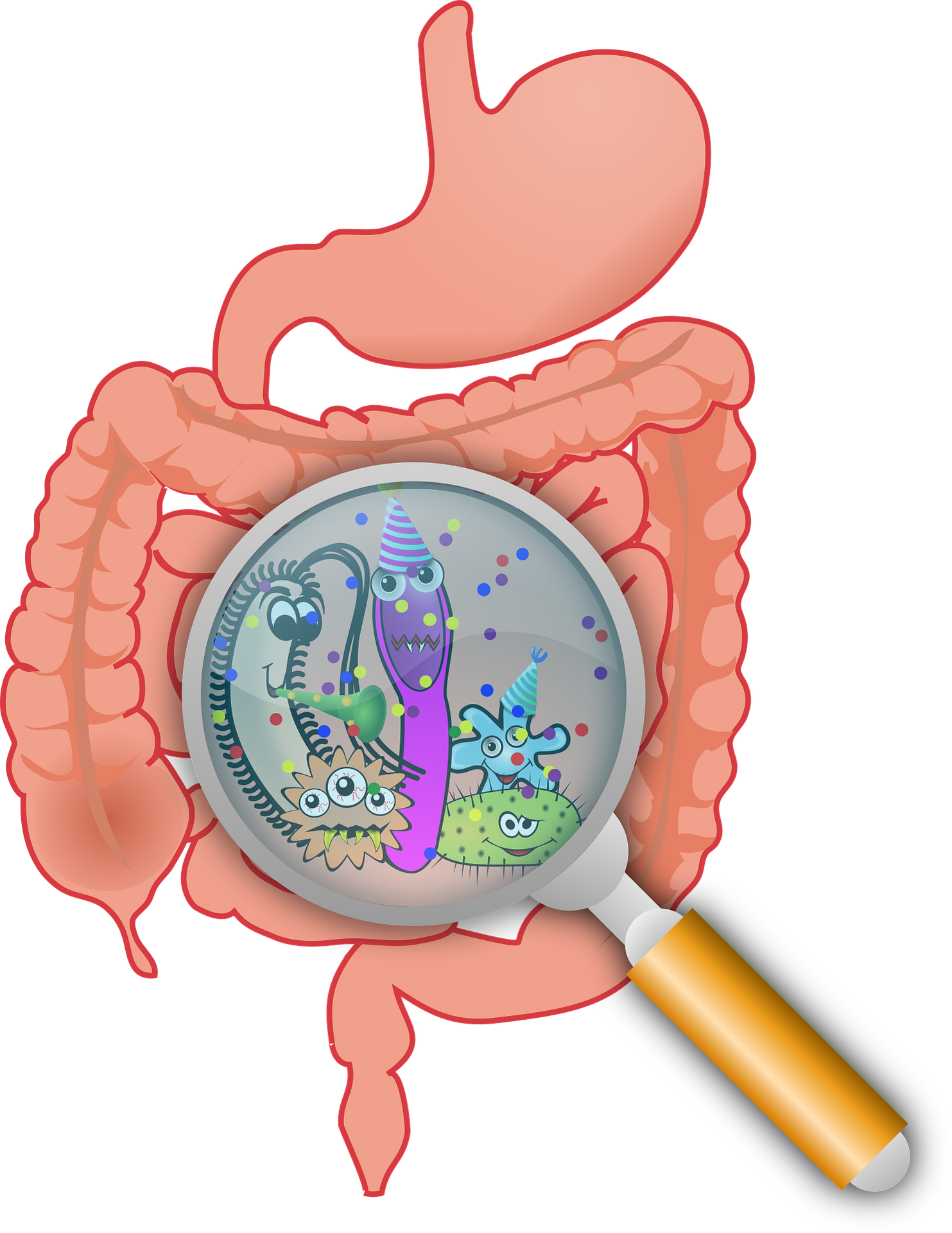 bowel health