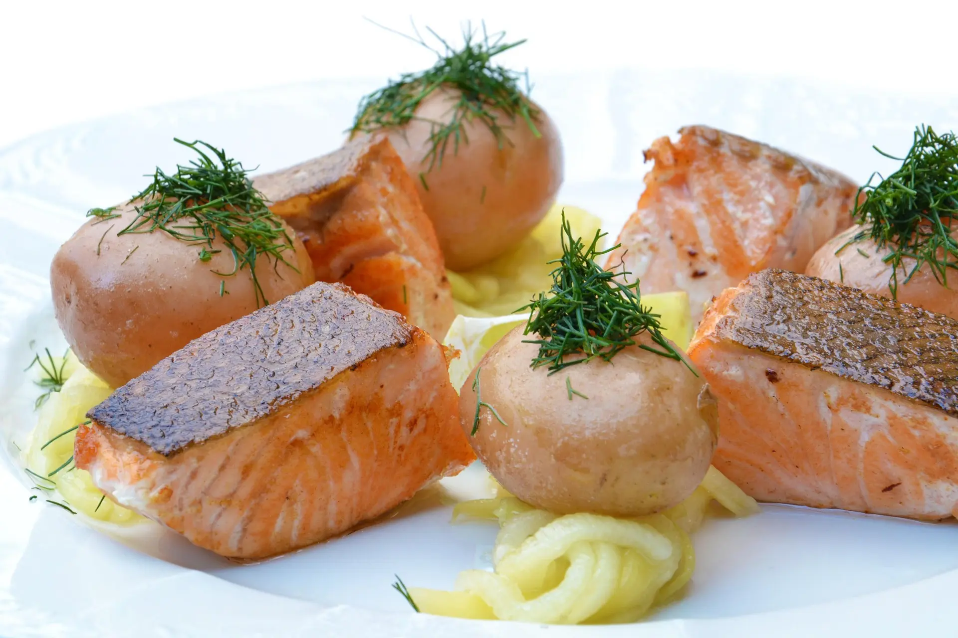 Easy-to-Chew Proteins & Fats