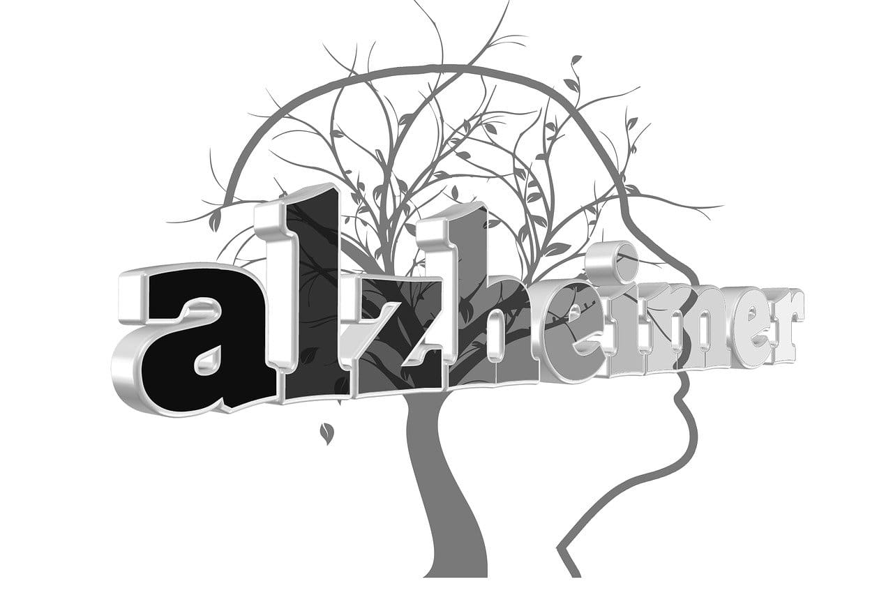 How Does Alzheimer's and Dementia Care for the Elderly Work?