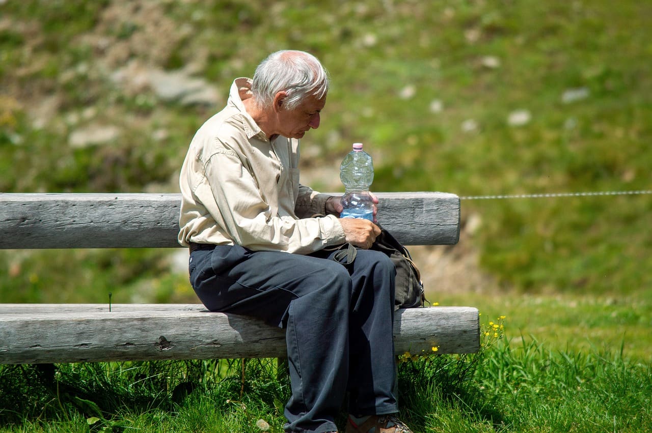 What are Introductory Care Agencies?