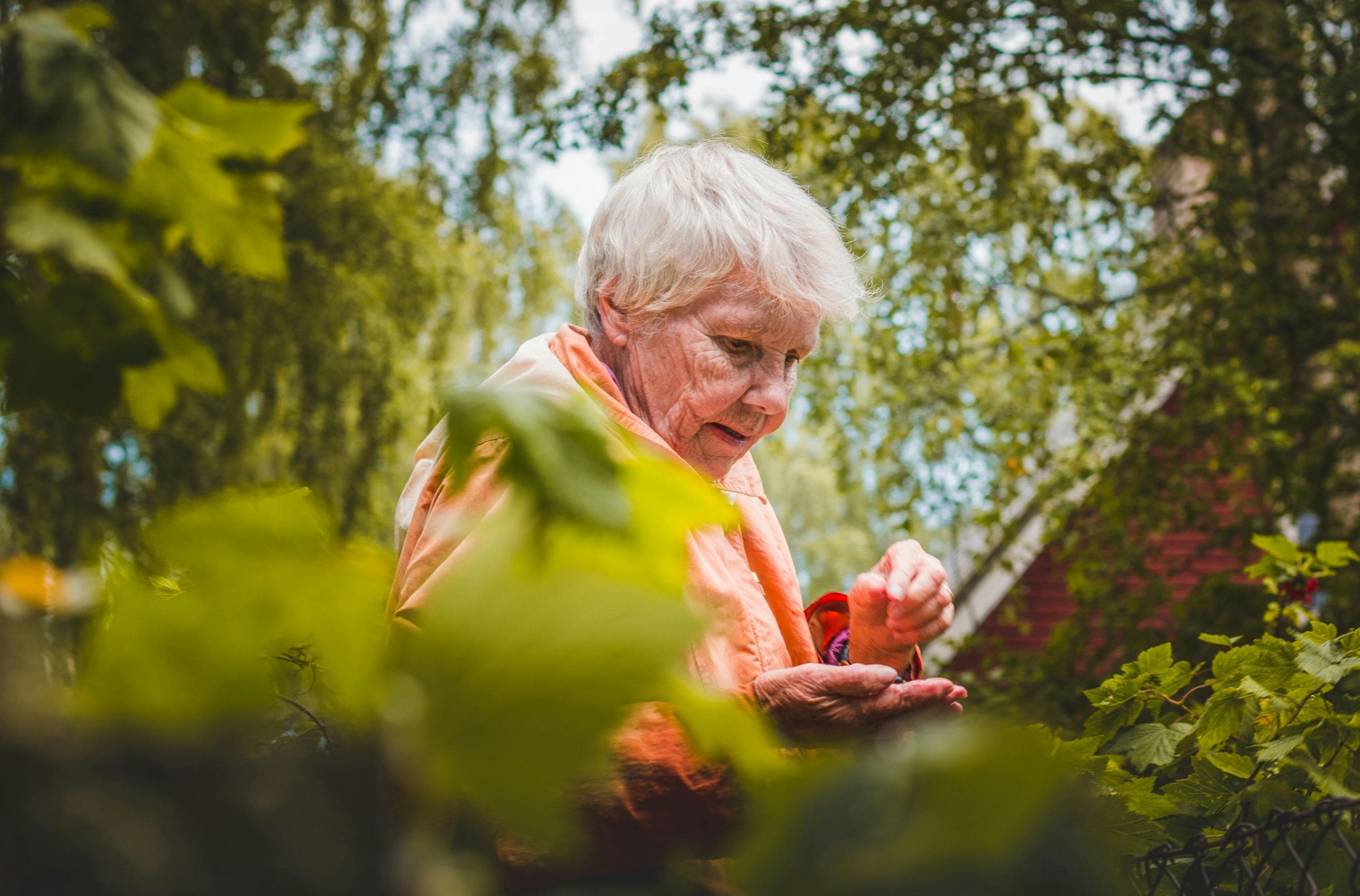 What is Vascular Dementia, and What are its Causes?